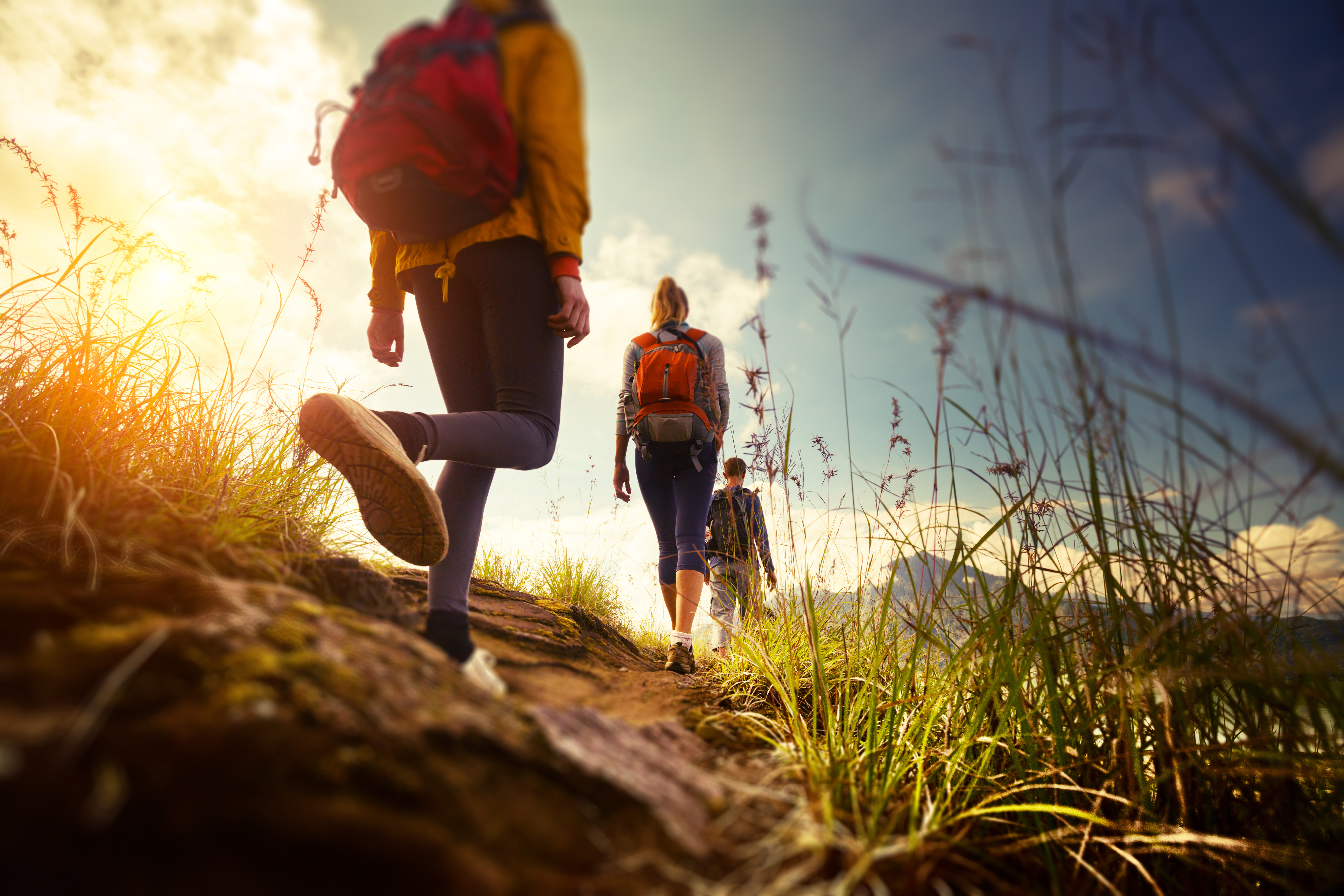 wanderung-alpen-sommer.jpeg