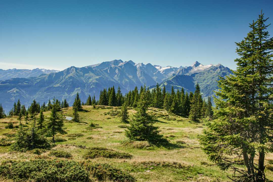 Hochsonnberg Landschaft